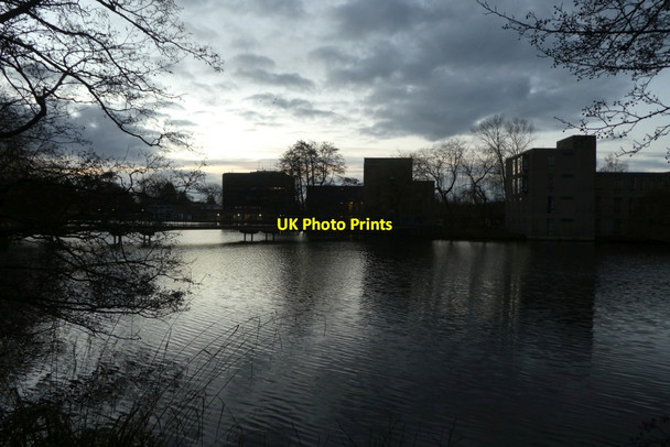 Photo 6"x4" Lake near Vanbrugh Bridge Heslington c2022