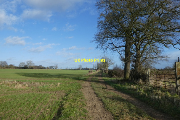 Photo 6"x4" Earfit Lane Colton\/SE5444 c2022