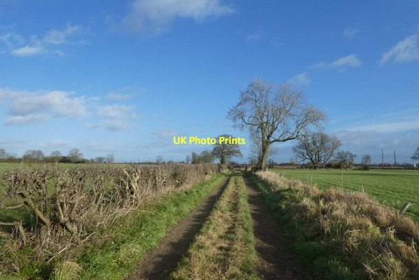 Photo 6"x4" Along Earfit Lane Colton\/SE5444 c2022