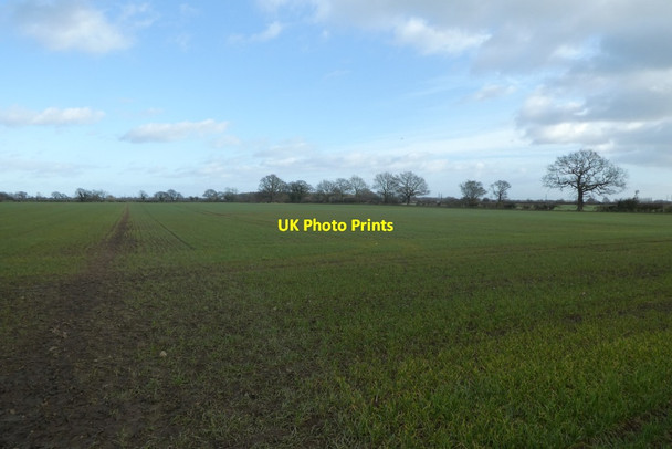 Photo 6"x4" Path near Hagg Lane Colton\/SE5444 c2022