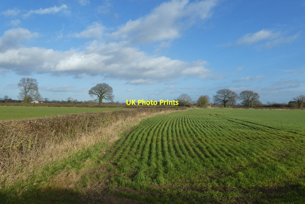 Photo 6"x4" Fields from a stile Colton\/SE5444 c2022