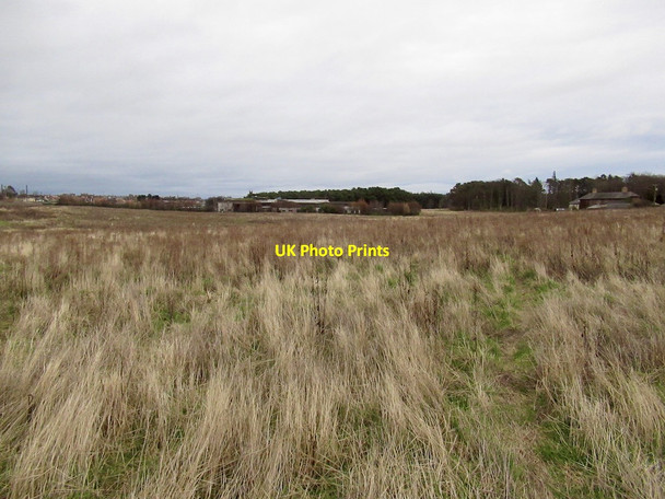Photo 6"x4" Land awaiting development, Hallhill Dunbar c2022