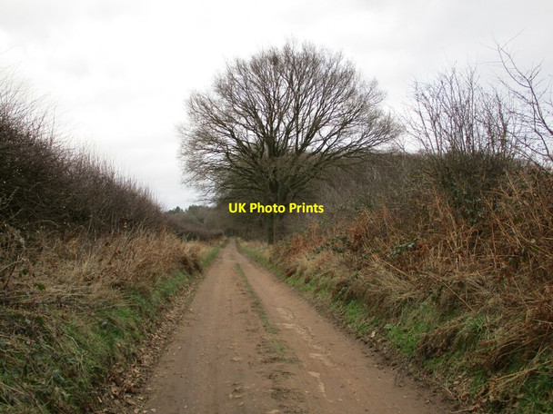Photo 6"x4" Blakeley Lane Market Warsop c2022