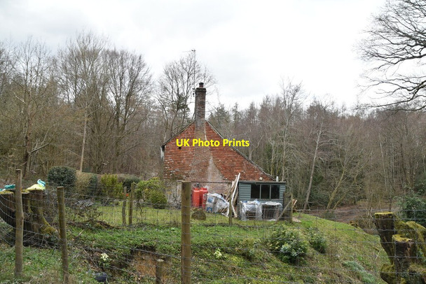Photo 6"x4" Coblye Cottage Cackle Street\/TQ6919 c2021