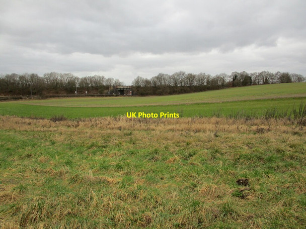 Photo 6"x4" Autumn sown crop near Meden Farm Market Warsop c2022