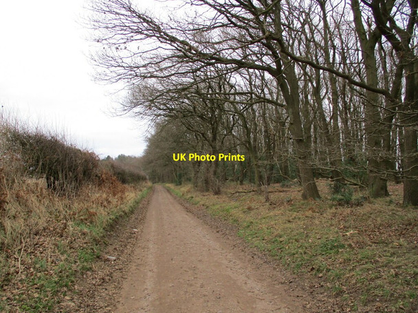 Photo 6"x4" Blakeley Lane Market Warsop c2022 P1