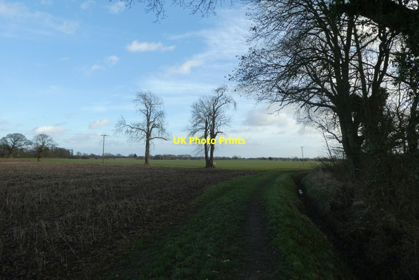 Photo 6"x4" Path towards Appleton Roebuck Appleton Roebuck c2022