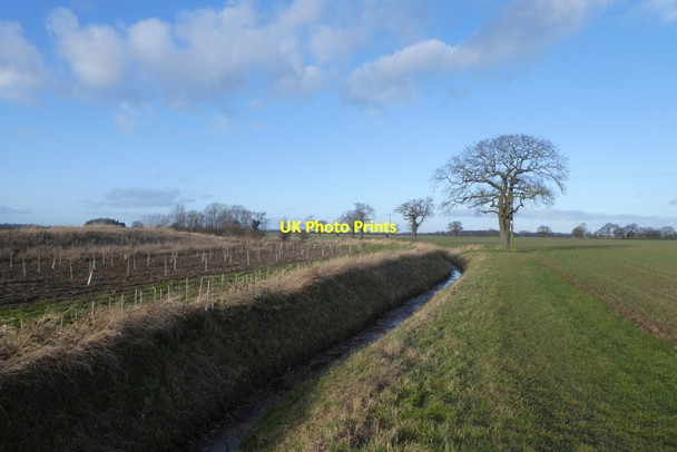 Photo 6"x4" Path towards Stubbins Appleton Roebuck c2022