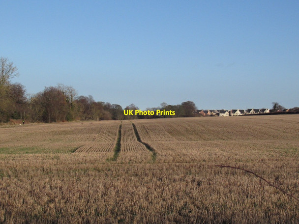 Photo 6"x4" Stubble outside Haddington Haddington\/NT5173 c2022