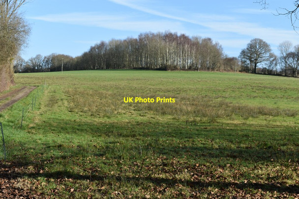 Photo 6"x4" Uphill field view at Bagman\u00e2\u0080\u0099s Farm Wigbeth c2022