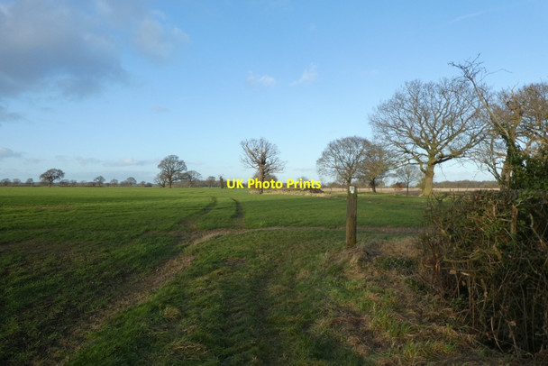 Photo 6"x4" Path turns a corner Appleton Roebuck c2022