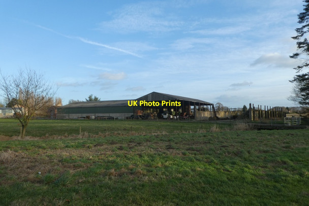 Photo 6"x4" Woolas Hall Farm Appleton Roebuck c2022