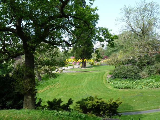 Photo 6"x4" The steps down from the garden at Consall Hall Consall c2014