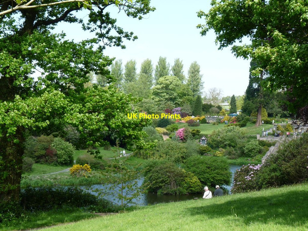Photo 6"x4" View of the gardens across the island Consall c2014