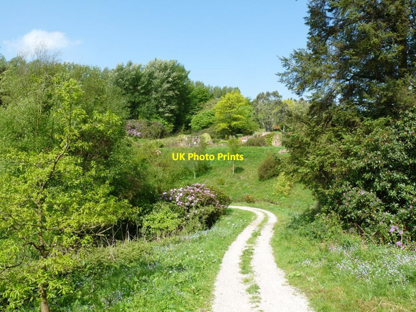 Photo 6"x4" Path along the bottom of the Laund pool Consall c2014
