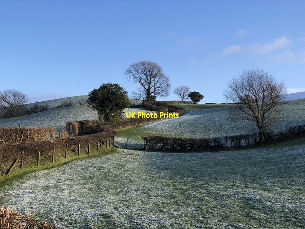 Photo 6"x4" Fields Beside Road To Hebblethwaite Hall Cautley c2022
