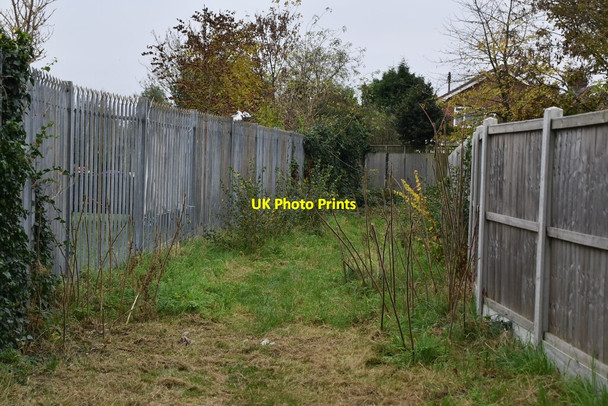 Photo 6"x4" Grassy footpath Fullwell Cross c2021