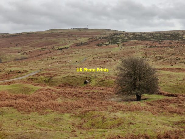 Photo 6"x4" Clee Liberty Common Clee St Margaret c2022