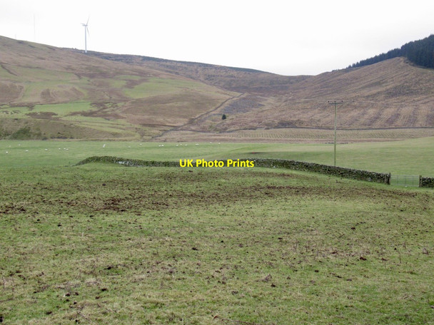 Photo 6"x4" Fields, Stoneyburn Elvanfoot c2022