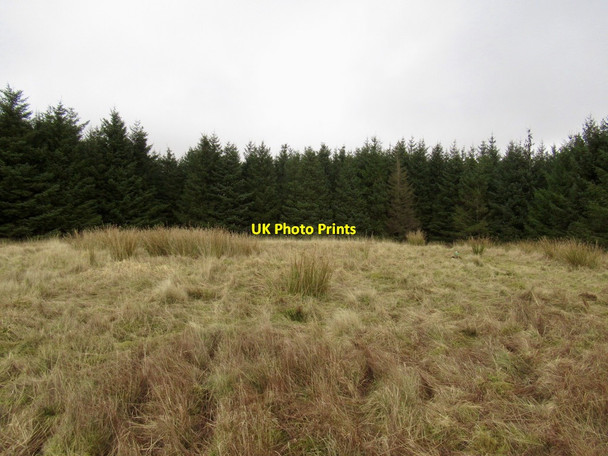 Photo 6"x4" Summit, Wellshot Hill Elvanfoot c2022