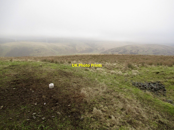 Photo 6"x4" Salt lick on Knotty Hill March\/NS9914 c2022