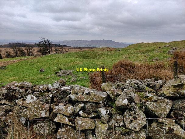 Photo 6"x4" Dry stone wall on Clee Burf Cockshutford c2022
