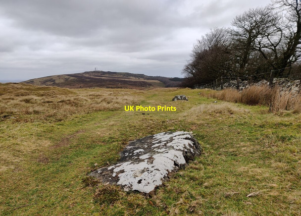Photo 6"x4" Along the edge of Castle Covert on Clee Burf Cockshutford c2022