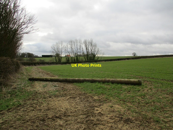 Photo 6"x4" Autumn sown field near Greetham Greetham\/TF3070 c2022