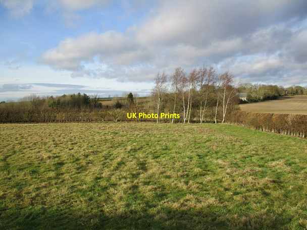 Photo 6"x4" Grass field near Hameringham Hameringham c2022