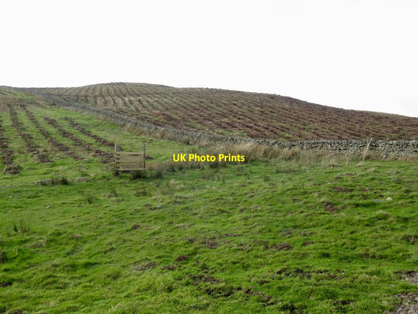 Photo 6"x4" Knowes Hill Windydoors c2022