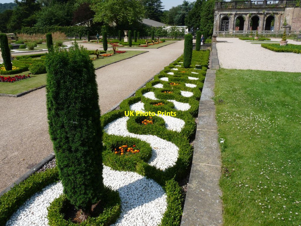Photo 6"x4" Knot garden along the path by the remains of Trentham Hall Knowl Wall c2014