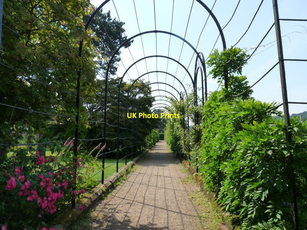 Photo 6"x4" The Trellis Walk Knowl Wall c2014