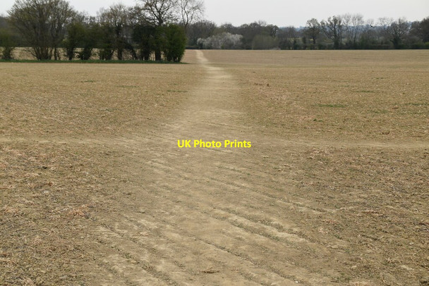 Photo 6"x4" Footpaths crossing Headcorn c2021