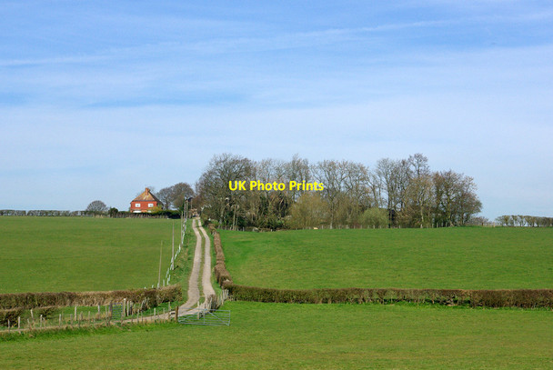 Photo 6"x4" Track to New Barn Farm Tenterden c2007