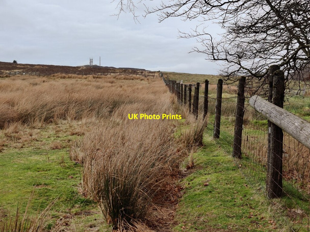 Photo 6"x4" Fence towards the summit of Abdon Burf Cockshutford c2022
