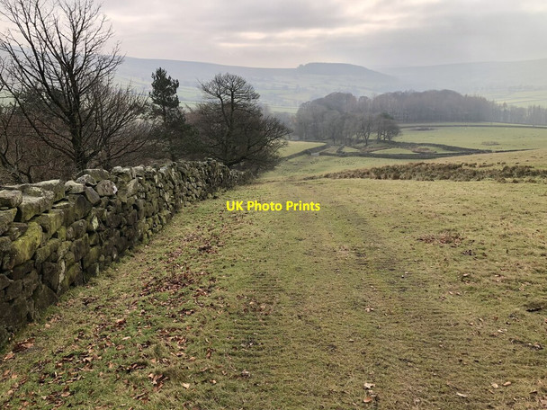 Photo 6"x4" Track To Cockayne Cockayne c2022