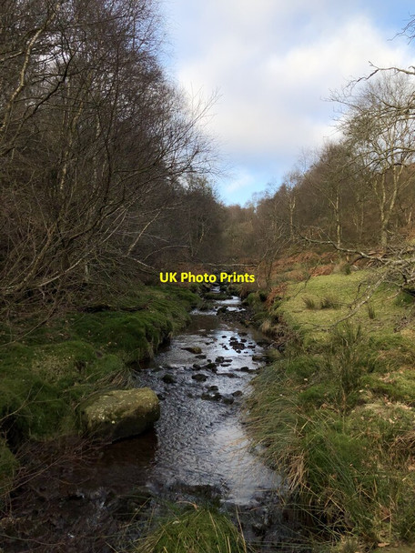 Photo 6"x4" Tripsdale Beck The Grange\/SE5796 c2022
