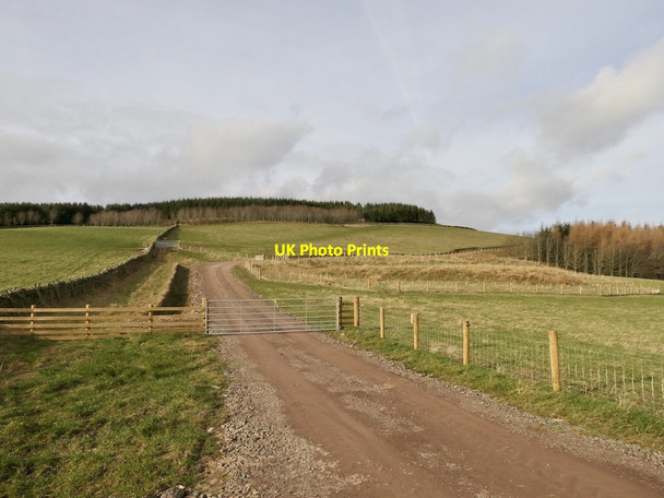 Photo 6"x4" New road up Knowes Hill Windydoors c2022