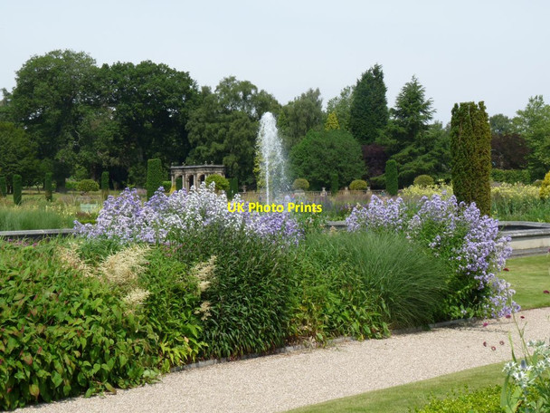 Photo 6"x4" View across the Italianate Garden to the remains of Trentham Hall Knowl Wall c2014