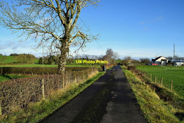 Photo 6"x4" Lisboy Road, Donaghanie Beragh c2022