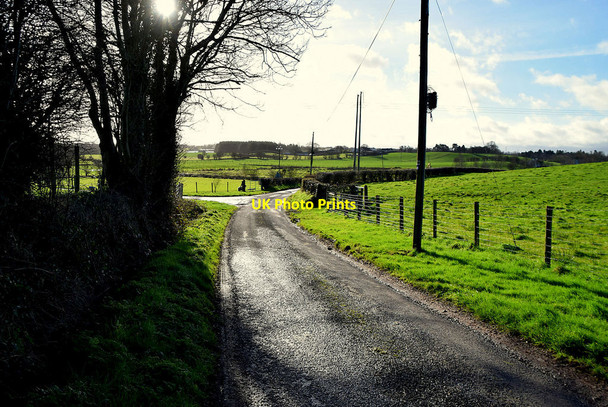 Photo 6"x4" Bend along Lisboy Road Beragh c2022