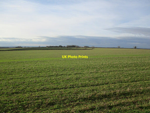 Photo 6"x4" Autumn sown crop Mareham on the Hill c2022