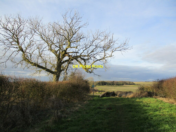 Photo 6"x4" Merebalk Lane approaching Scrafield Lane Mareham on the Hill c2022