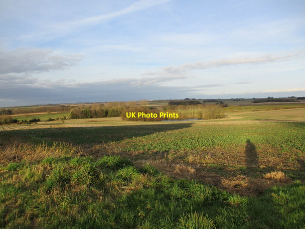 Photo 6"x4" Field of oilseed rape and tree grided pond, Mareham on the Hill Horncastle\/TF2669 c2022