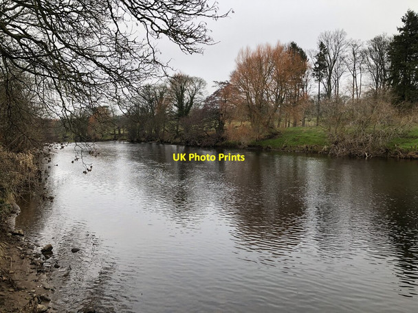 Photo 6"x4" River Ure East Witton c2022
