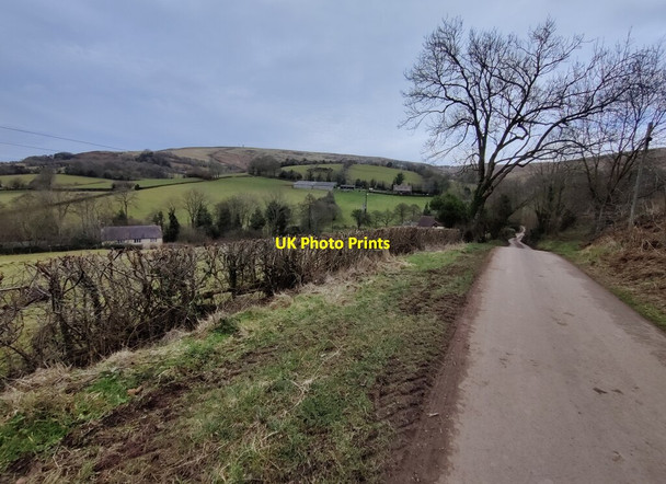 Photo 6"x4" Country lane at Cockshutford Abdon c2022
