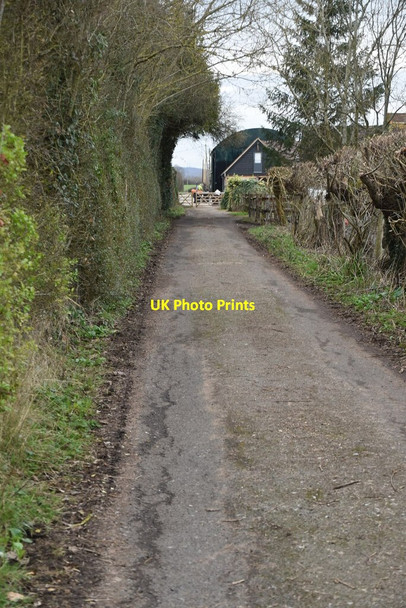 Photo 6"x4" Track to Park Farm Pearson's Green c2021
