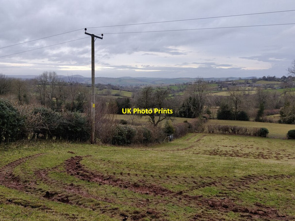 Photo 6"x4" Farmland at Cockshutford Abdon c2022