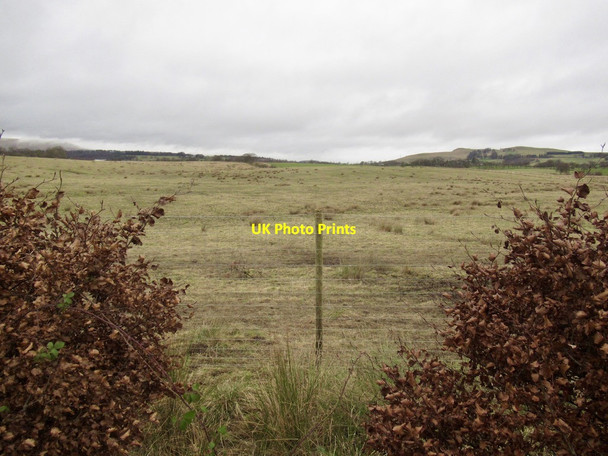 Photo 6"x4" Rough grazing near Saline Balgonar c2022