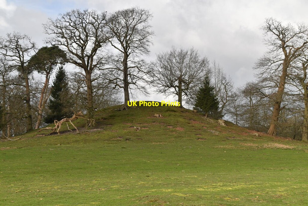 Photo 6"x4" The Mount Oxted c2021 P1